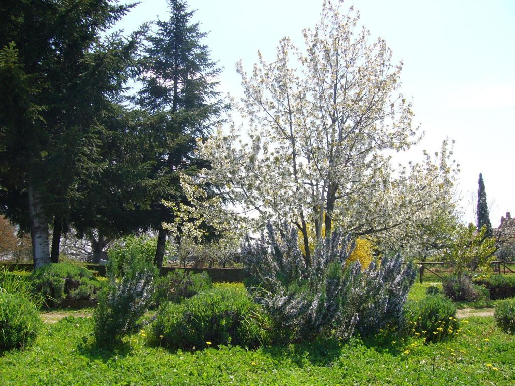 Agriturismo San Giacomo Pitigliano Bagian luar foto