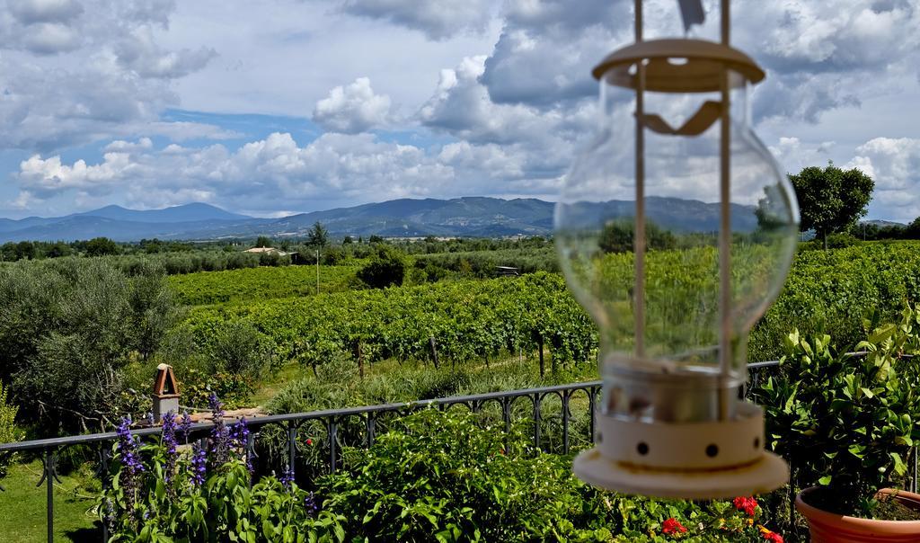 Agriturismo San Giacomo Pitigliano Bagian luar foto