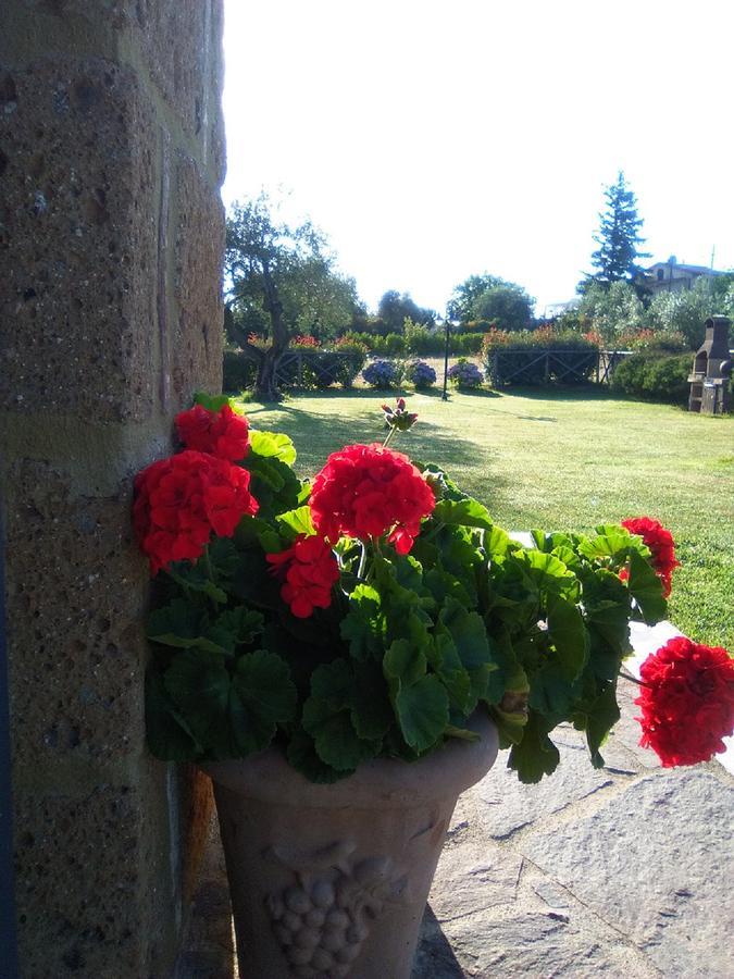Agriturismo San Giacomo Pitigliano Bagian luar foto