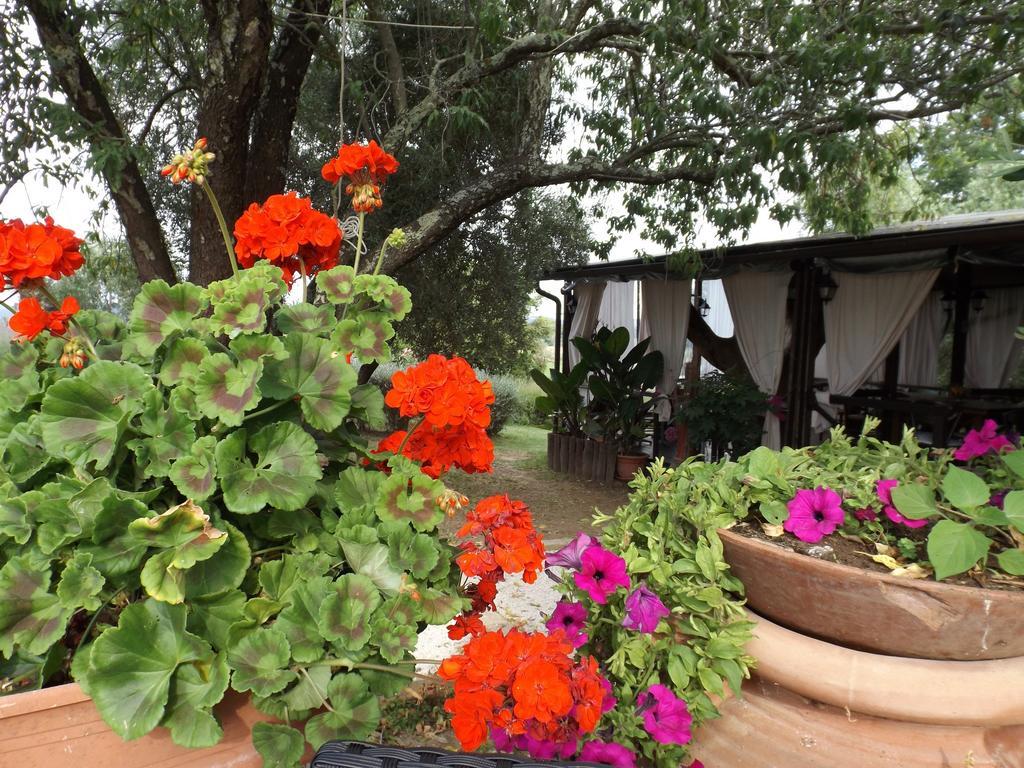 Agriturismo San Giacomo Pitigliano Ruang foto